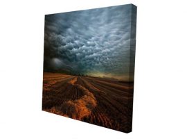 Урьдчилан сунгасан зураг